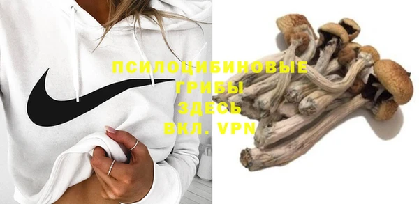 мяу мяу мука Алзамай